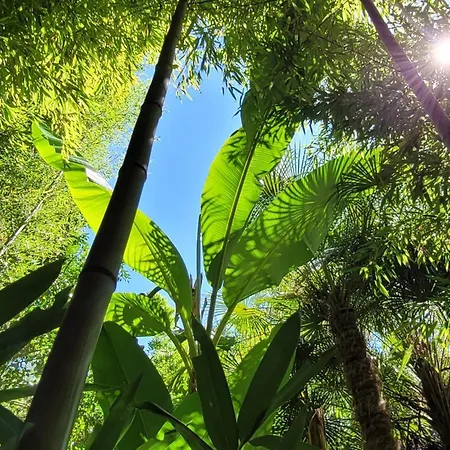 Maeva Escapades Le Domaine Aramis 4*